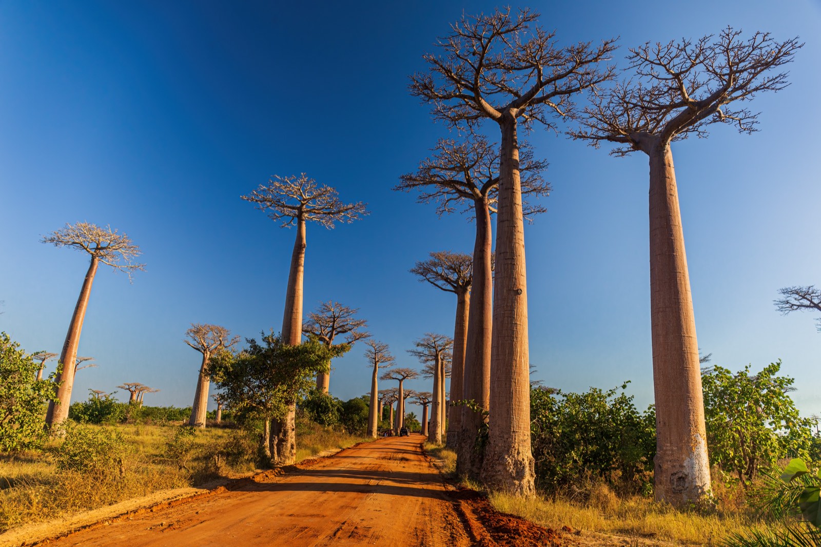 Madagascar