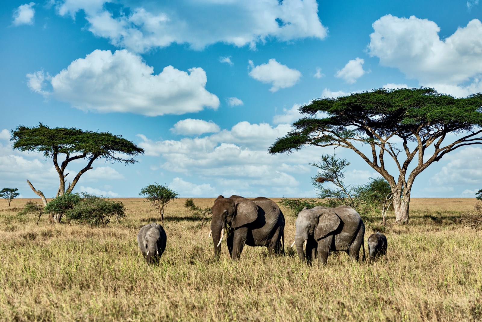 Tanzania